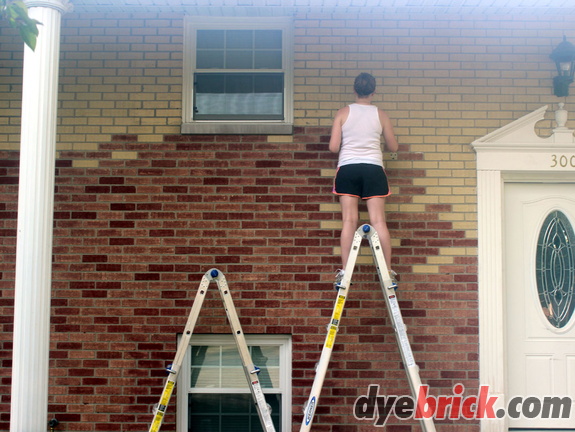 002 Applying Dyebrick